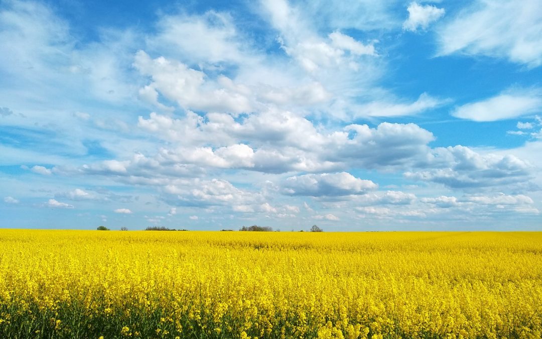 Building Trust and Credibility with Your Website Visitors